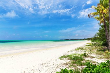 Bahamalar, Karayipler ocean ve güneşli bir günde pastoral Adaları güzel plajı