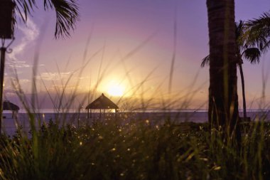 Marco Island Beach, Meksika Körfezi, Florida, ABD uzun uzantısı plajları muhteşem günbatımı. Rahatlatıcı palm saz ve plajda sakinleştirdi deniz günbatımı. Plajda manzara arka plan.