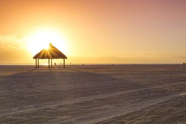 Marco Island Beach, Meksika Körfezi, Florida, ABD uzun uzantısı plajları muhteşem günbatımı. Rahatlatıcı palm saz ve plajda sakinleştirdi deniz günbatımı. Plajda manzara arka plan.