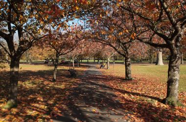 Greenwich Parkı'sonbahar renkleri