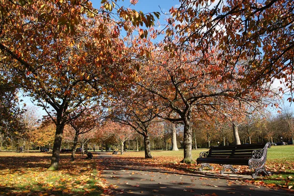 Greenwich Parkı'sonbahar renkleri