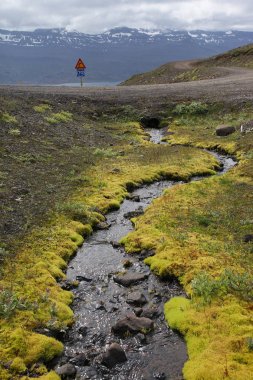 İzlanda'daki küçük akarsu