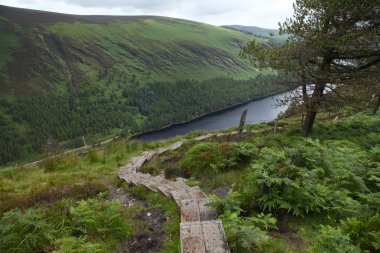 Wicklow Dağları Milli Parkı'da yürüyüş