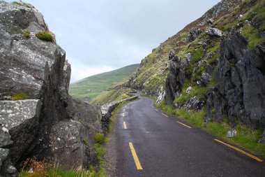 Dunquin Dingle Yarımadası'nda kıyıya yolda