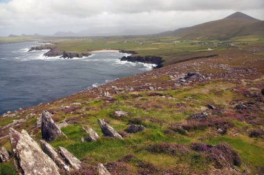 Heather İrlandalı'nın kıyısında kayalar