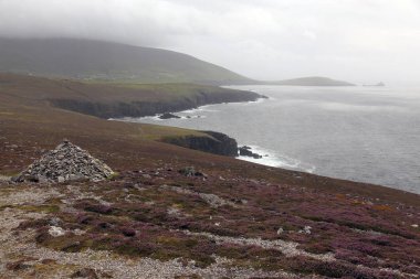 Heather İrlandalı'nın kıyısında kayalar