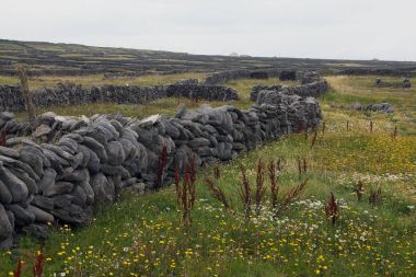 inisheer Adası taş çit