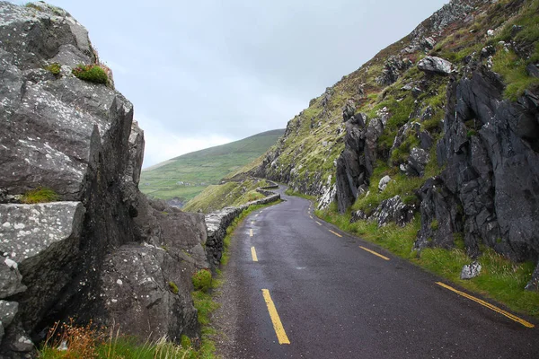Dunquin Dingle Yarımadası'nda kıyıya yolda