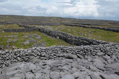 inisheer Adası taş çit