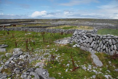 inisheer Adası taş çit