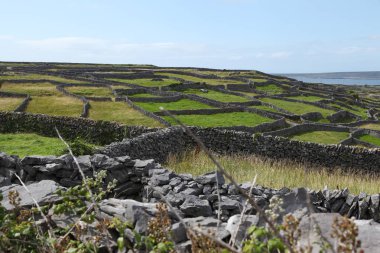 aran Islands İrlanda inisheer adada taş çit