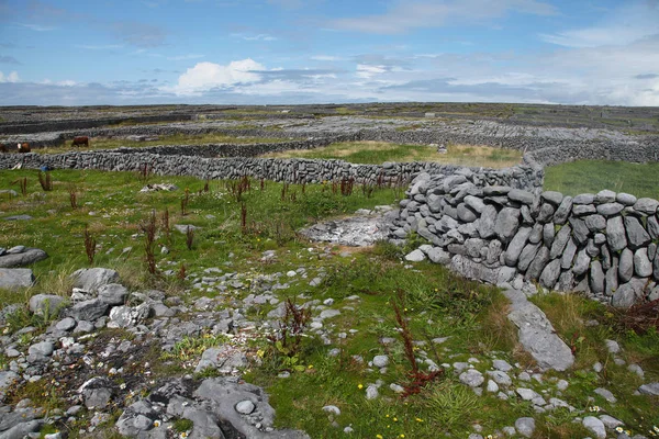 inisheer Adası taş çit