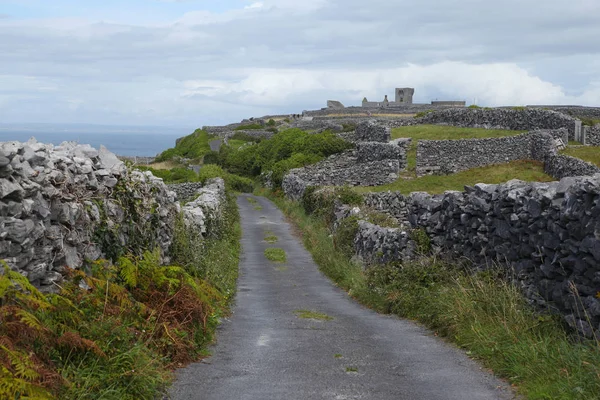 Kule ve kale kalıntıları Inisheer Adası