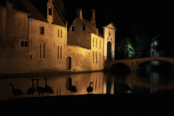 Bruges tarihi kanallar gece görünümü