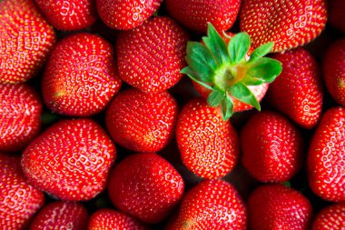 Dışarı çilek ayakta