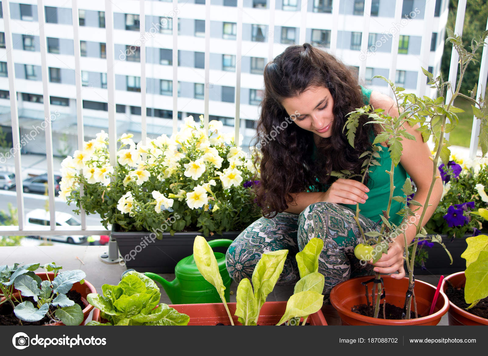 Woman Caring Of Her Small Kitchen Garden In The Balcony Stock Photo Image By C Asife 187088702