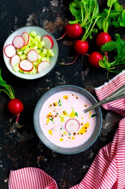 Bir kase içinde soğuk turp ve salatalık çorbası