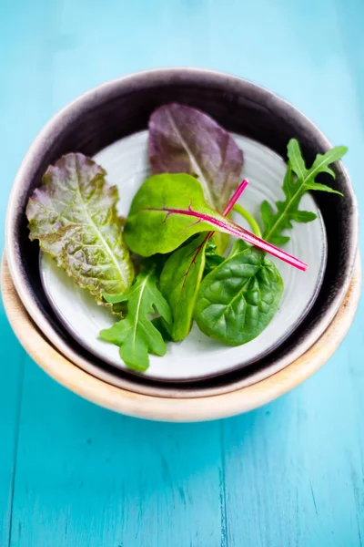 Смешанный салат из листьев младенца — стоковое фото