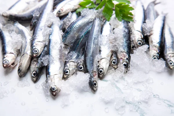 Anchoas Frescas Crudas Sobre Hielo Con Una Rama Perejil —  Fotos de Stock