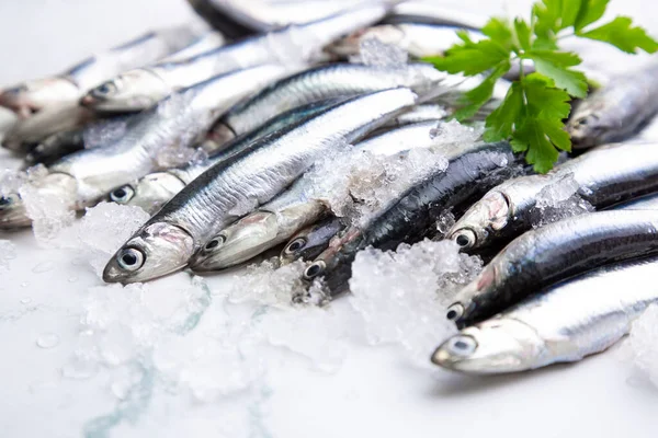 Anchovas Cruas Frescas Gelo Com Ramo Salsa — Fotografia de Stock