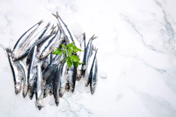 Anchoas Frescas Crudas Sobre Hielo Con Una Rama Perejil Vista —  Fotos de Stock