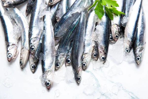 Fresh Raw Anchovies Ice Branch Parsley Top View — Stock Photo, Image