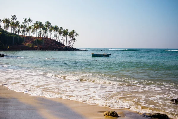 Дивовижний кокосовий пальмовий пагорб у затоці Мірісса (Шрі - Ланка). Пальмовий силует над синім берегом океану.. — стокове фото