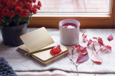 Sonbahar, meyve çayı, kırmızı kasımpatı ve battaniyesinde boş çarşaflar olan bir not defteri. Hygge konsepti. Yalnızlık ve sonbahar melankolisi. Depresyon.