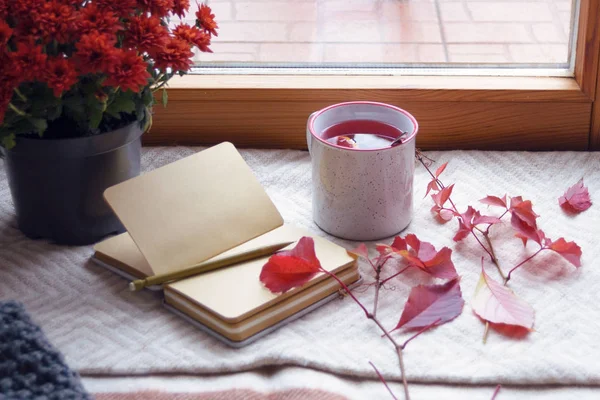 Sonbahar, meyve çayı, kırmızı kasımpatı ve battaniyesinde boş çarşaflar olan bir not defteri. Hygge konsepti. Yalnızlık ve sonbahar melankolisi. Depresyon.