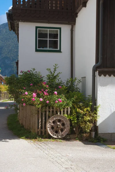 Traditioneel oud Oostenrijks huis met bloemen op een bloembed in de stad Hallstatt, Oostenrijk. Reizen. — Stockfoto