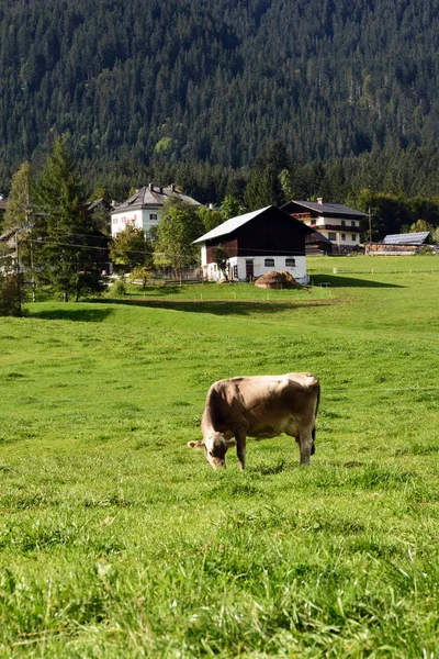 Vroege ochtend in Oostenrijk. Traditioneel Oostenrijks landschap: bergen, gezellige huisjes en groene gazons. Euro reis. Gevoel van rust en stabiliteit. — Stockfoto