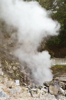 Furnas 'a seyahat, San Miguel, Azores