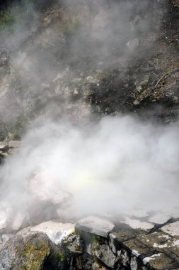 Termal yaylarda mısır pişiriyorum. Furnas 'a seyahat, San Miguel, Azores