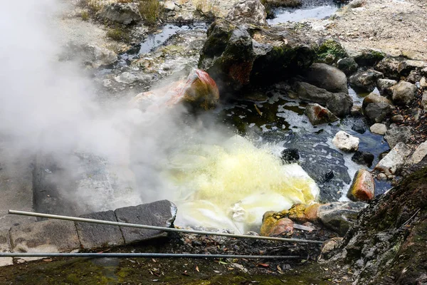 Csemegekukoricát főzök termálfürdőben. Utazás Furnas, San Miguel, Azori-szigetek — Stock Fotó