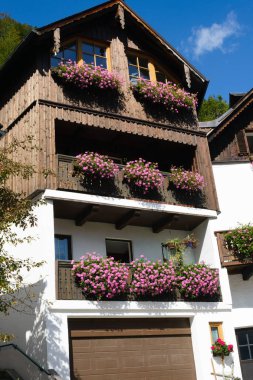 Hallstatt, Avusturya. Avusturya Alpleri 'nin ünlü dağ köyü sıcak bir sonbahar gününde. Çiçeklerle süslenmiş balkonlu geleneksel Avusturya ahşap evleri