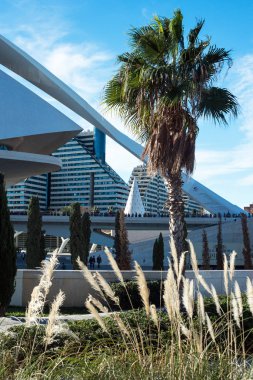 Valencia, İspanya, Aralık 2019. El Palau de les Arts 'ın binası Reina Sofia, güneşli bir günde İspanya Valencia' da opera binası..