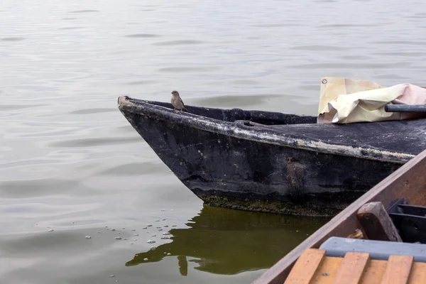 スペインのバレンシア。古い黒の喜びのボート。曇り空の日には、湖とアルブフェラ自然公園(El Parque Natural de la Albufera de Valencia) 。素晴らしい鳥の聖域. — ストック写真