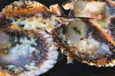 Peynir ve baharatlı sos ile pişmiş kabuklu deniz tarağı. İhale istiridye gerçek bir zevktir. Kalan akşam yemeği.