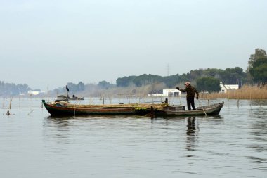 Valencia, İspanya, Aralık 2019. Bulutlu bir günde göl ve Albufera Doğal Parkı (El Parque Natural de la Albufera de Valencia). Bir balıkçı tatlı su yılanbalığı yakalar. İnanılmaz bir kuş barınağı..