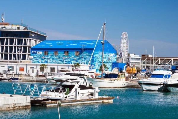 Limassol Cypern Februari 2020 Lyxiga Vita Yachter Mot Den Blå — Stockfoto