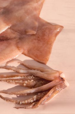 Pembe arka planda taze çiğ mürekkep balığı. Yakın plan..