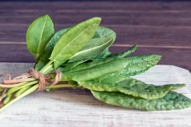 Kuşun taze yeşil yaprakları. Yararlı sebze kültürü ve ilaç bitkisi Rumex asetosa, vitamin ve mineral açısından zengin..