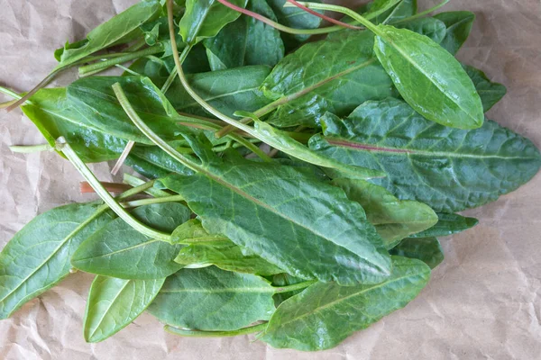 Daun Hijau Muda Dari Sorrel Atas Kertas Kerajinan Budaya Sayuran — Stok Foto