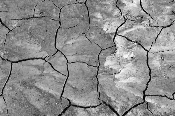 Tierra Seca Agrietada Sequía Textura —  Fotos de Stock