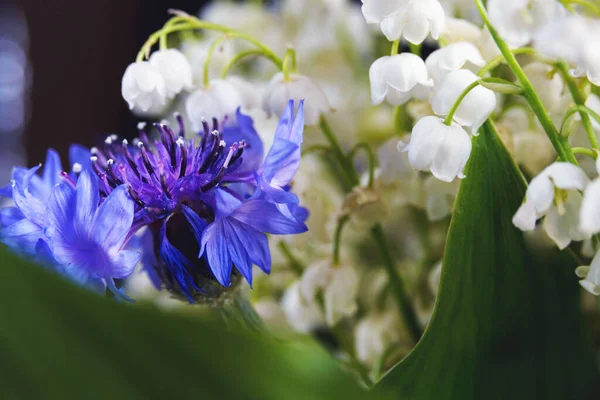 Vit Bukett Små Blommor Maj Liljekonvalj Och Blå Blåklint Svart — Stockfoto