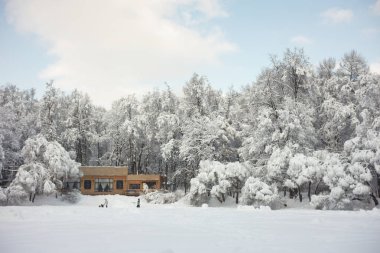 Moskova birçok kar Rus kışında gerçek