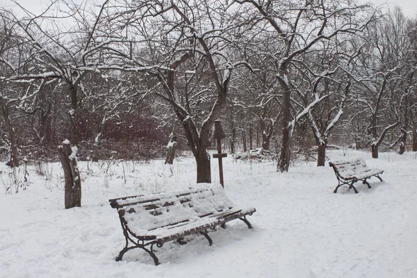 Miasto Moskwa Suworow Park Dużo Śniegu Ławki Pokryte Śniegiem — Zdjęcie stockowe