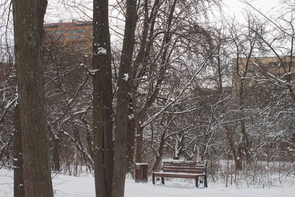 Stad Moskou Suvorov Park Veel Sneeuw Met Sneeuw Bedekte Banken — Stockfoto