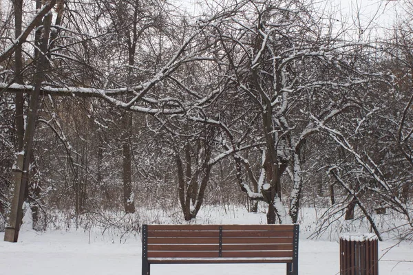 Ciudad Moscú Parque Suvorov Montón Nieve Bancos Cubiertos Nieve —  Fotos de Stock