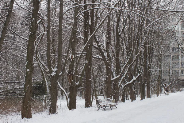 Ciudad Moscú Parque Suvorov Montón Nieve Bancos Cubiertos Nieve —  Fotos de Stock